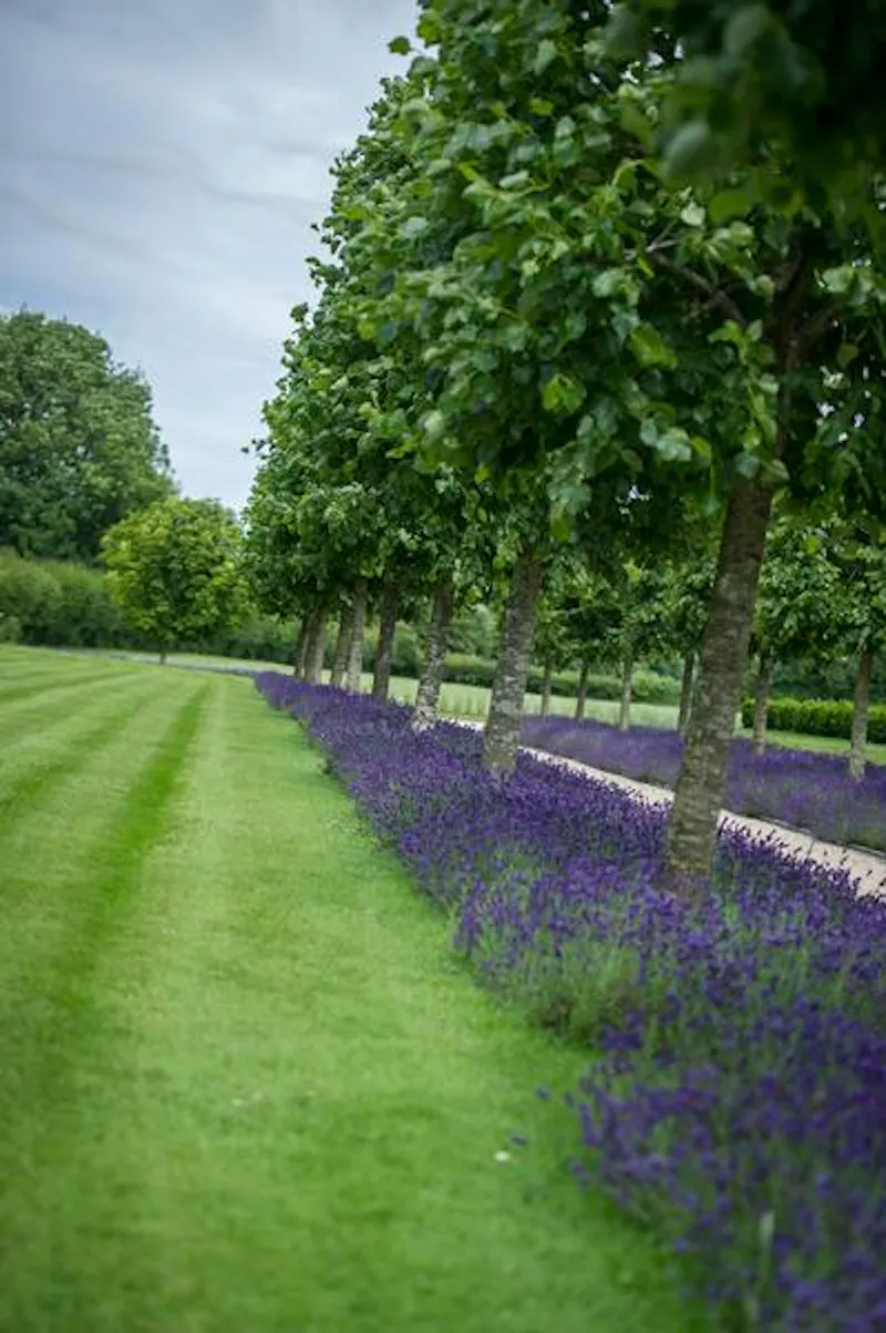 Film location D2257 in Hampshire (photo 33)