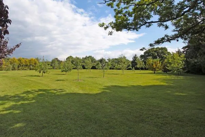 Countryside at Modern mansion near Warrington, D2223 (photo 87)