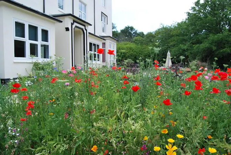 Castle turret house in Hailsham, Q110 (photo 60)