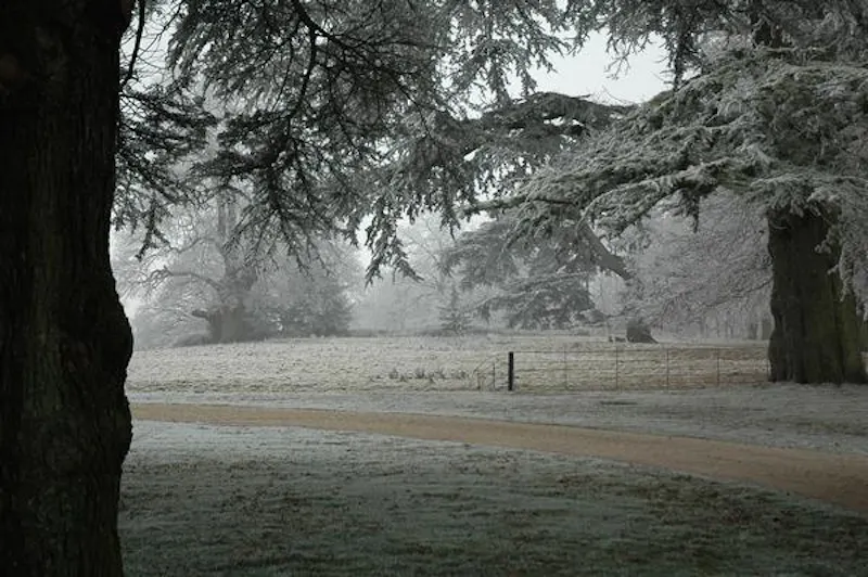 Countryside at Spectacular Newbury estate, G96 (photo 92)