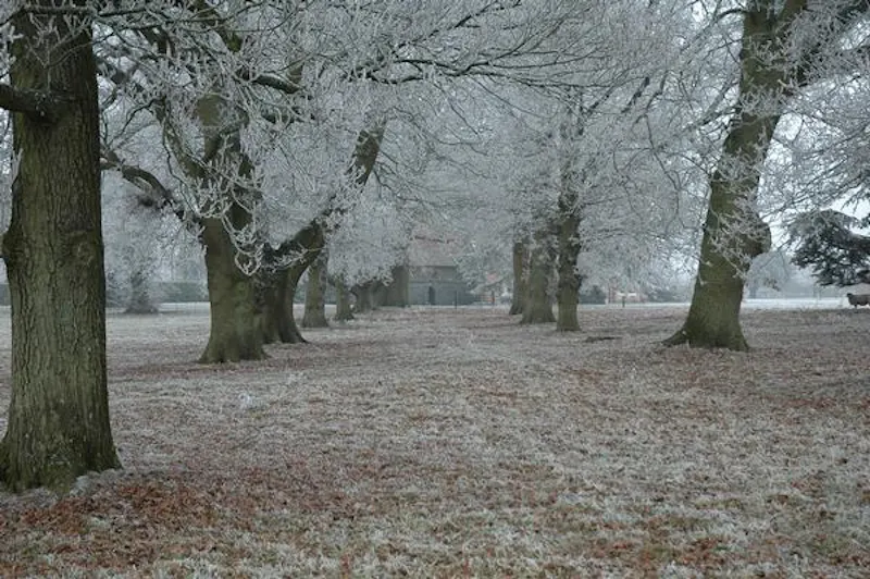 Spectacular Newbury estate, G96 (photo 95)