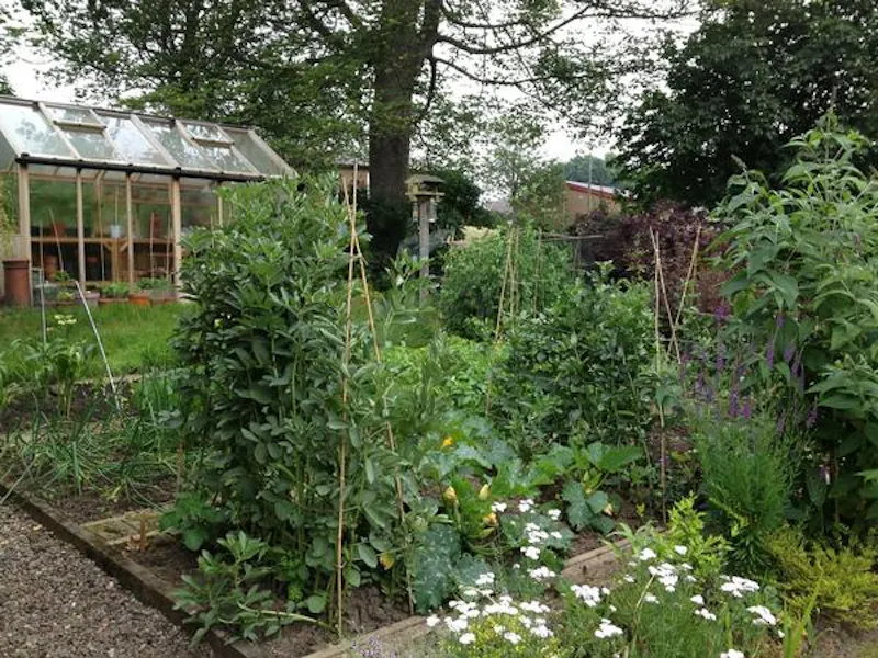 Conservatory at Film location D2226 in Scotland (photo 24)