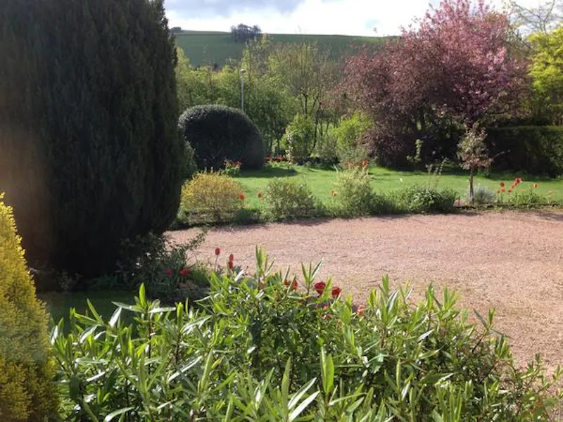 Garden at Film location D2226 in Scotland (photo 27)