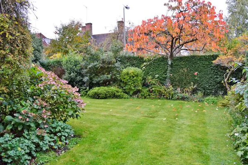 Film location D2227 in London (photo 37)