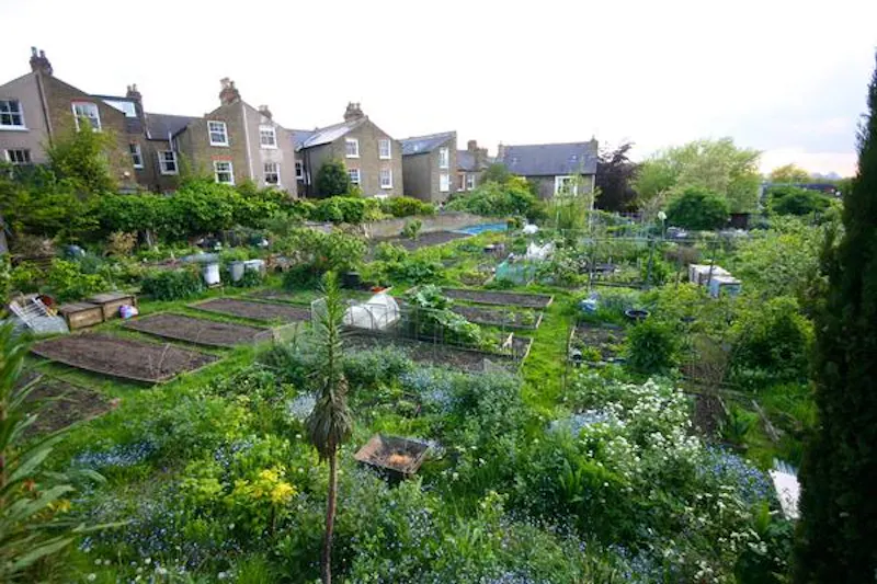 Garden at Clapham Coach house, B1703 (photo 22)