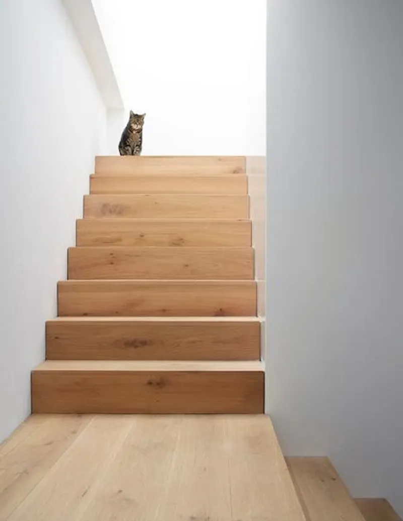 Staircase at Camberwell new-build house, K410 (photo 10)