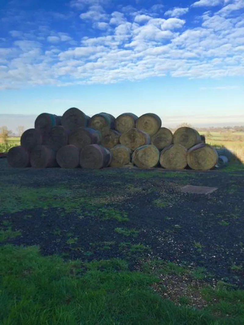 West Haddon working farm, L657 (photo 24)