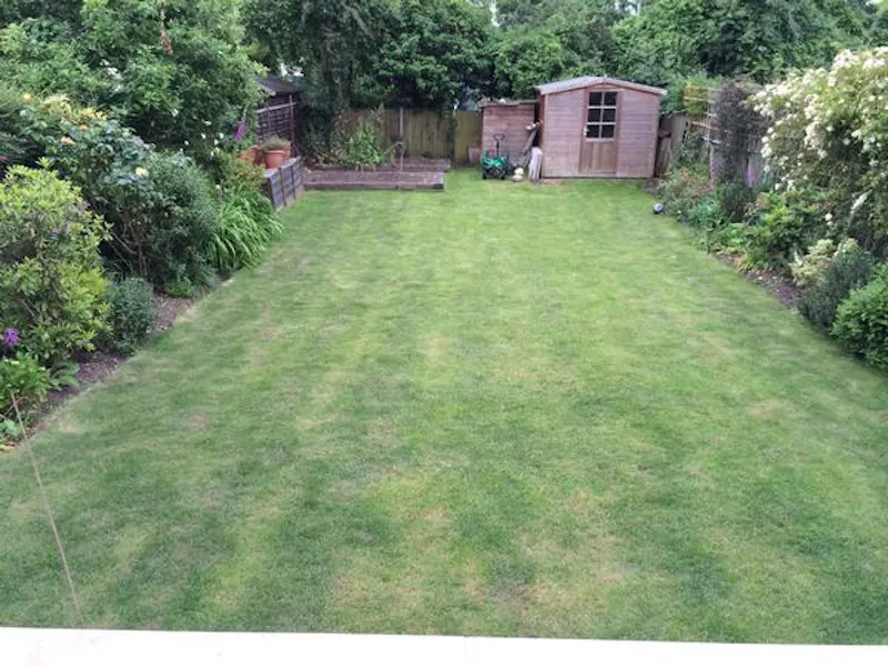 Garden at Detached  Ealing house, B1710 (photo 39)
