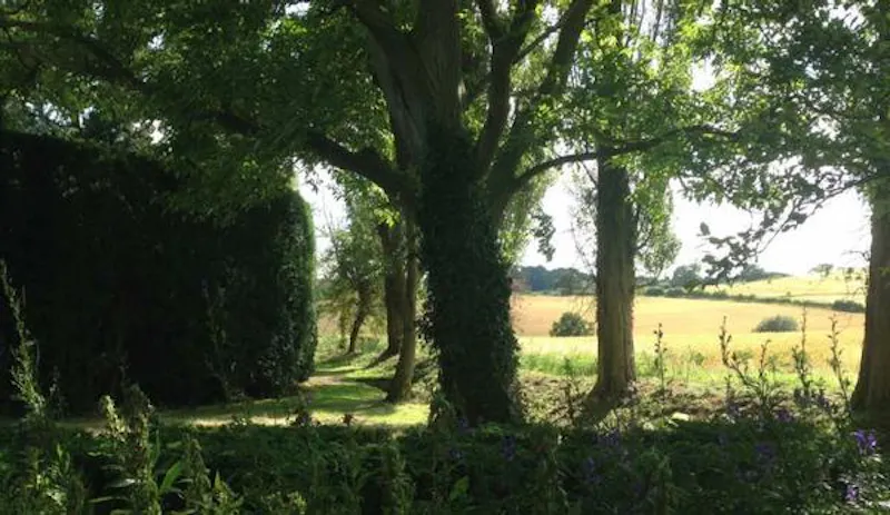 Film location C862 in Suffolk (photo 19)