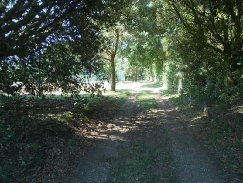 Film location C862 in Suffolk (photo 24)