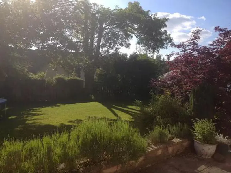 Garden at Stunning Okehampton house, B1712 (photo 28)