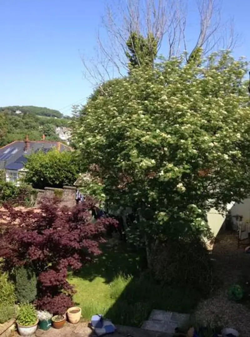 Stunning Okehampton house, B1712 (photo 29)