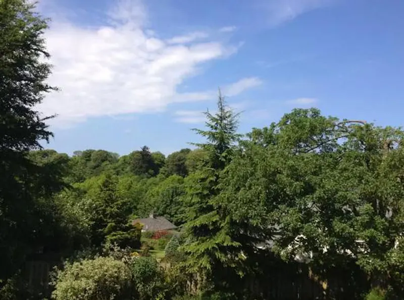 Stunning Okehampton house, B1712 (photo 30)