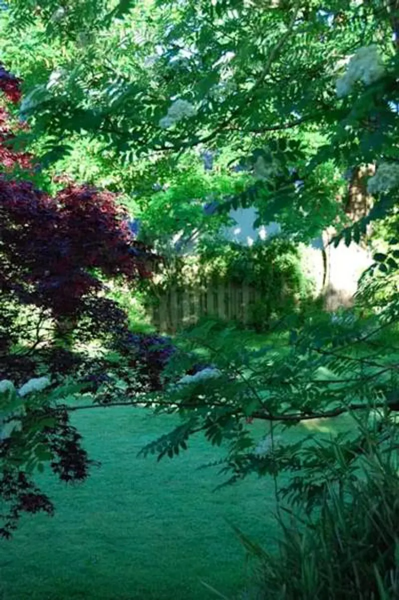 Stunning Okehampton house, B1712 (photo 31)