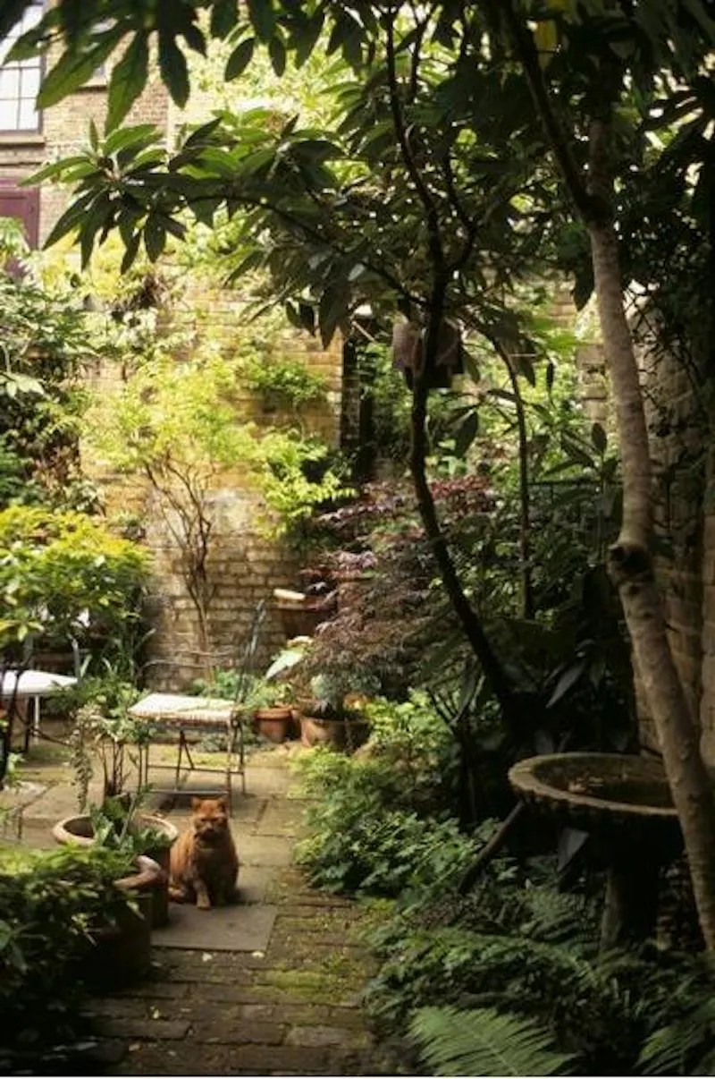 Garden at Fournier Street Huguenot house, A1402 (photo 26)