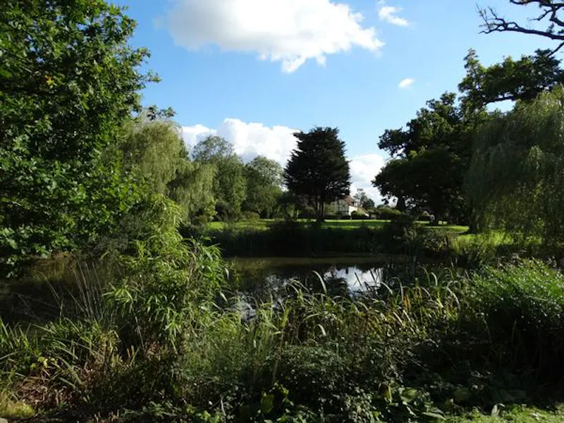 Pond at Film location C863 in Surrey (photo 39)