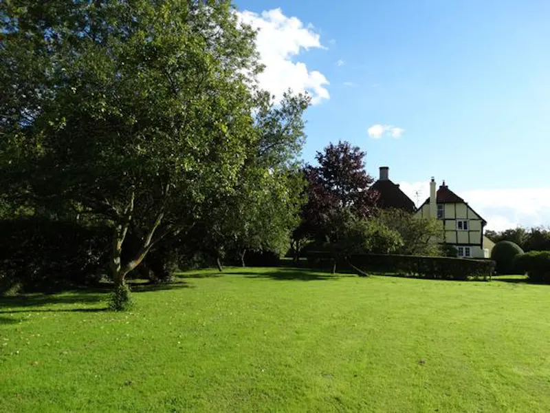 Garden at Film location C863 in Surrey (photo 45)