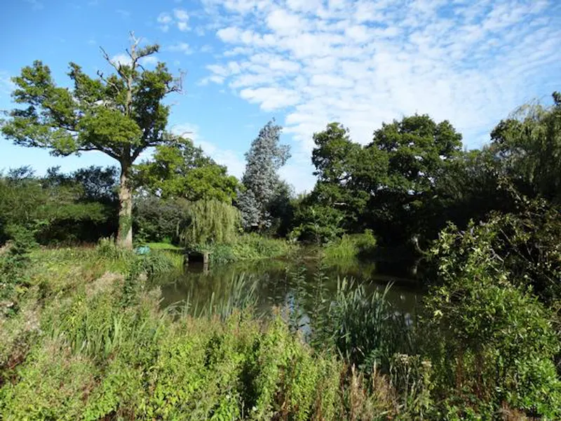 Film location C863 in Surrey (photo 47)
