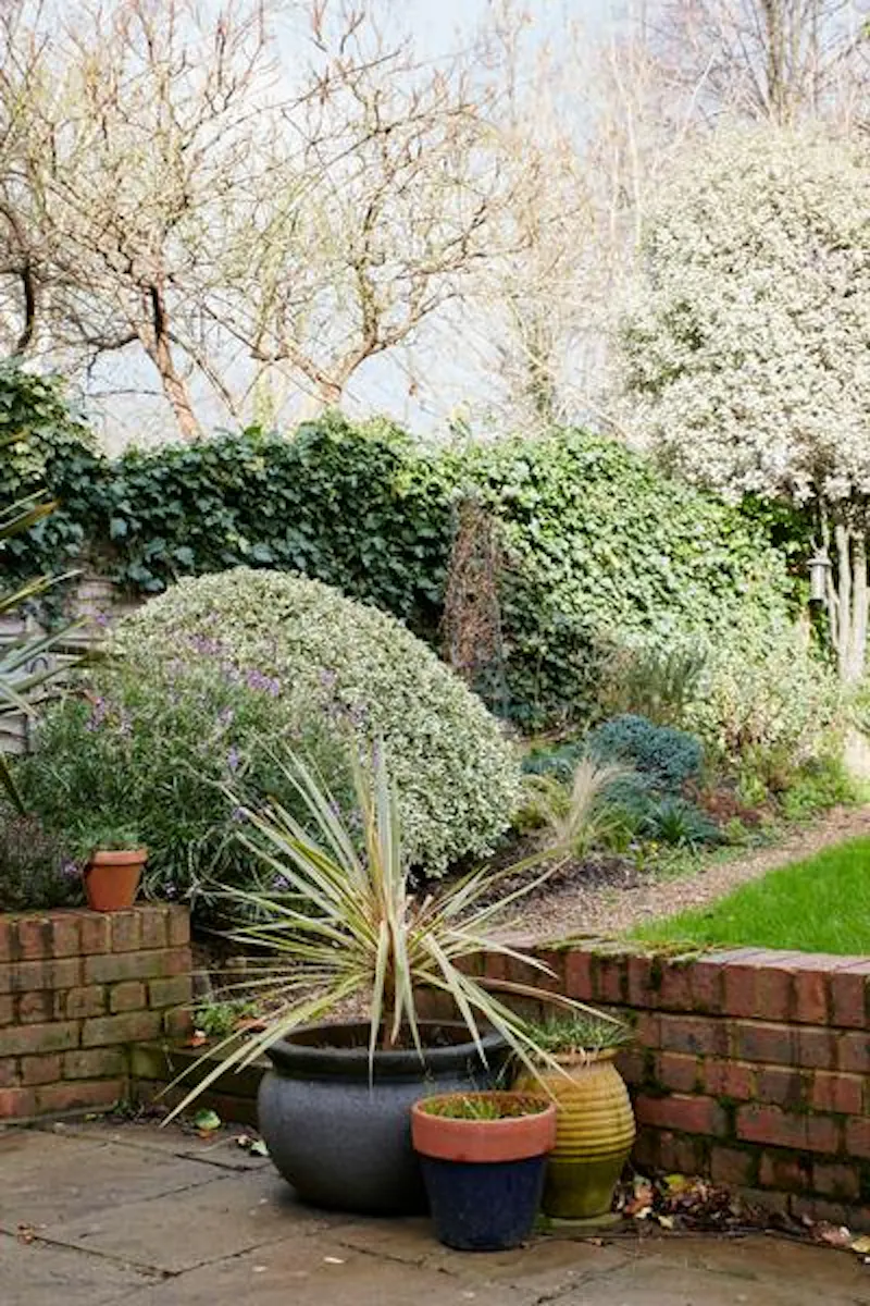 Stylish Forest Hill house, B1714 (photo 68)