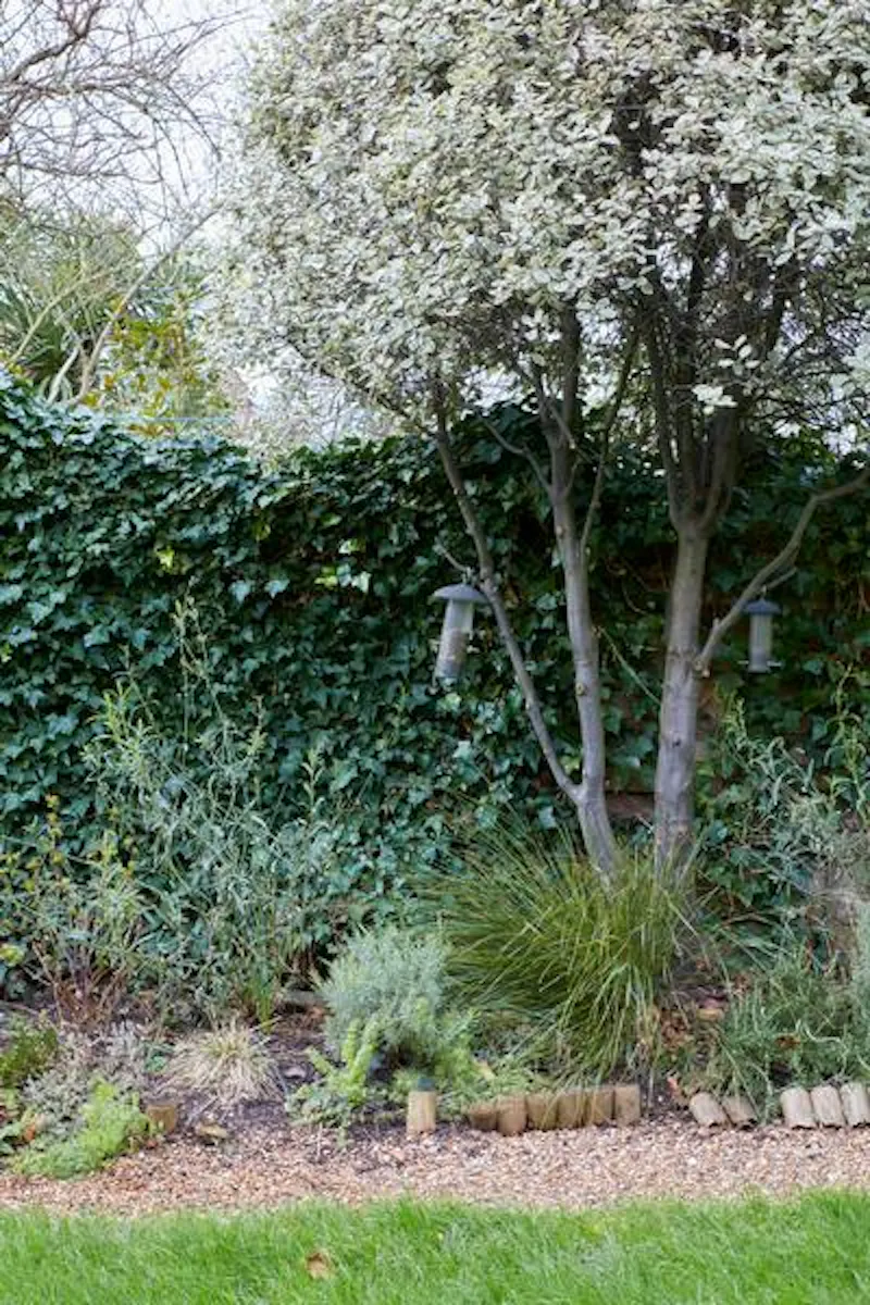 Stylish Forest Hill house, B1714 (photo 76)