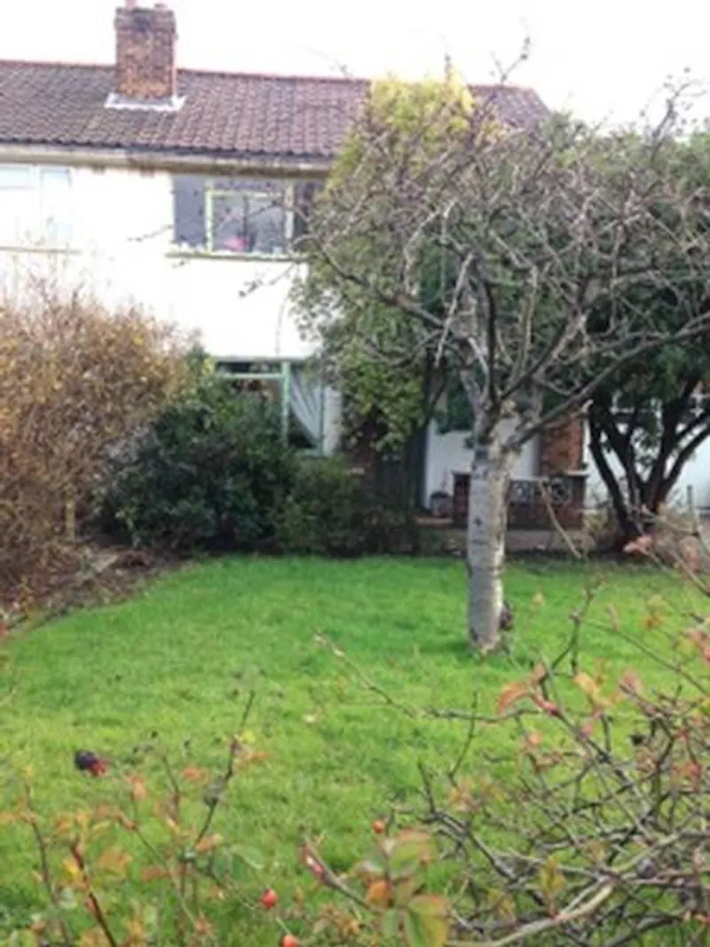 Suburban house in Eltham, D2242 (photo 19)