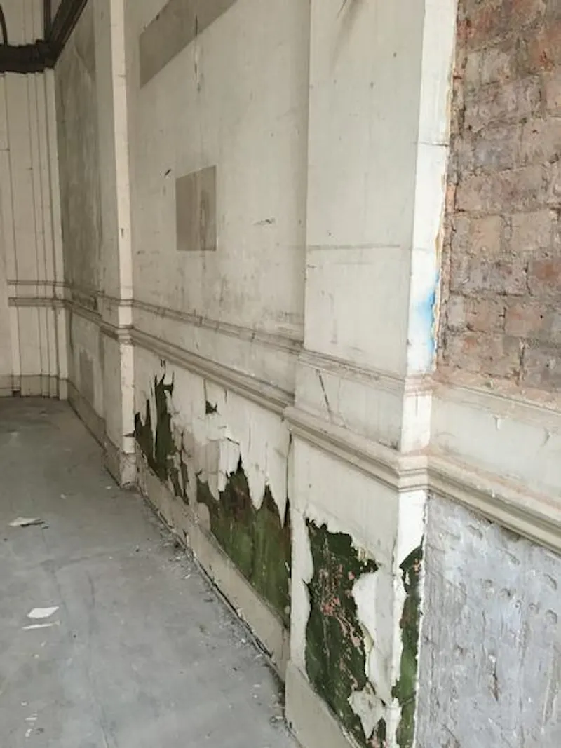 Derelict Wolverhampton studio, N411 (photo 8)
