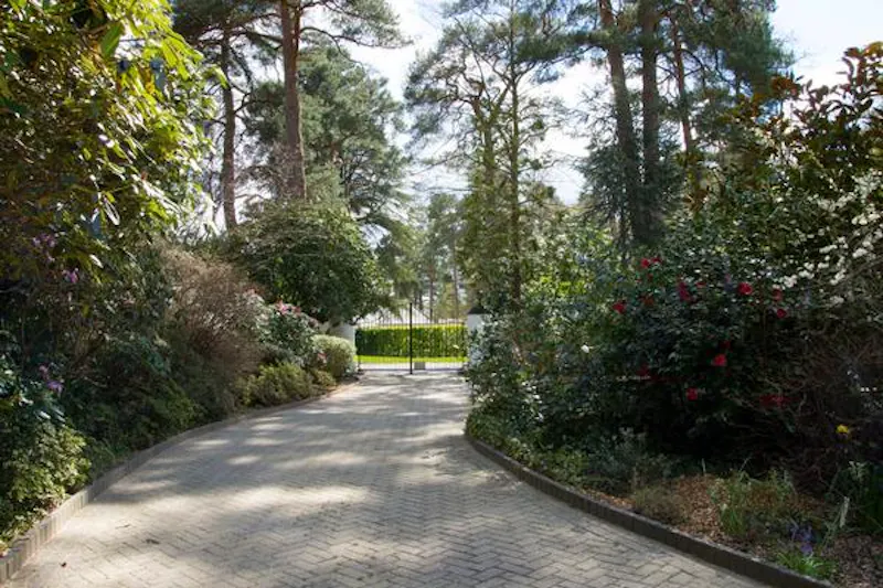 Driveway at Virginia Water modern mansion, D2245 (photo 22)