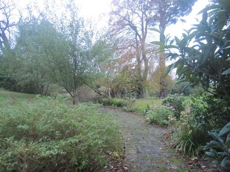 Garden - wild at Bletchingly Manor Houses, B1719 (photo 63)