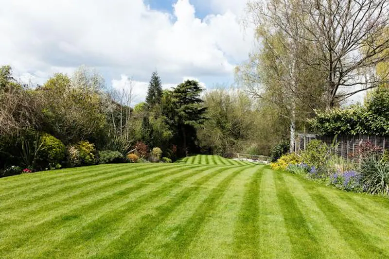 Garden at Large detached house Weybridge, D2248 (photo 59)