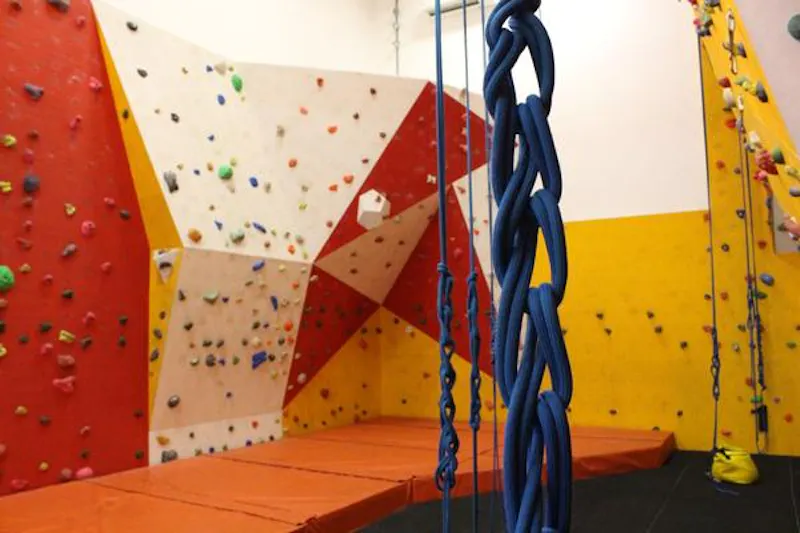 Dulwich school sports club, J215 (photo 15)