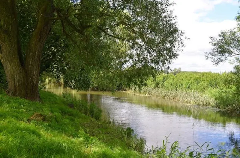 Pond at Film location H1011 in Oxfordshire (photo 20)
