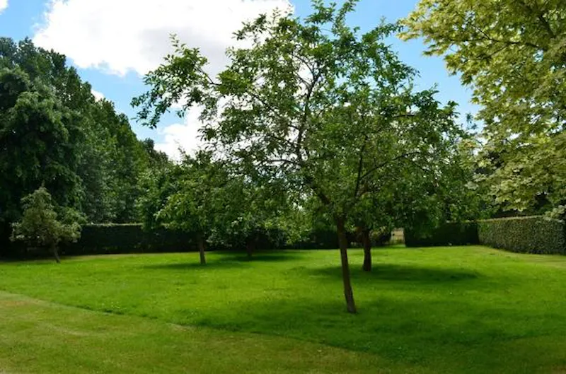 Film location H1011 in Oxfordshire (photo 23)