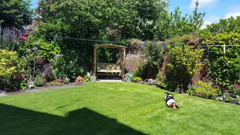 Garden at Family home in Crosby, B1724 (photo 19)