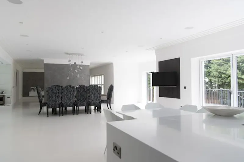 Mill Hill monochrome mansion, D2261 (photo 9)