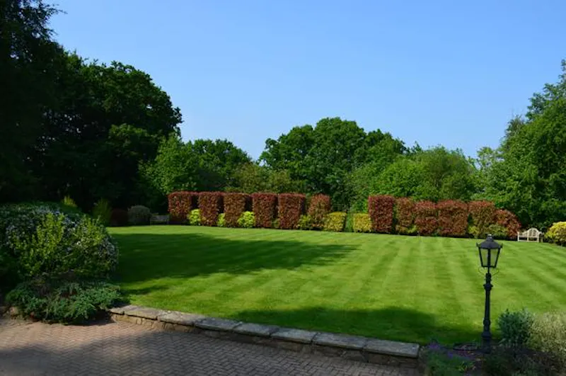 Garden at Film location D2264 in Kent (photo 28)
