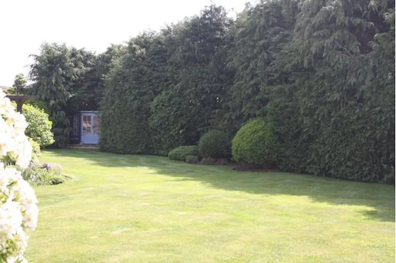 Garden at Film location D2267 in Hertfordshire (photo 10)