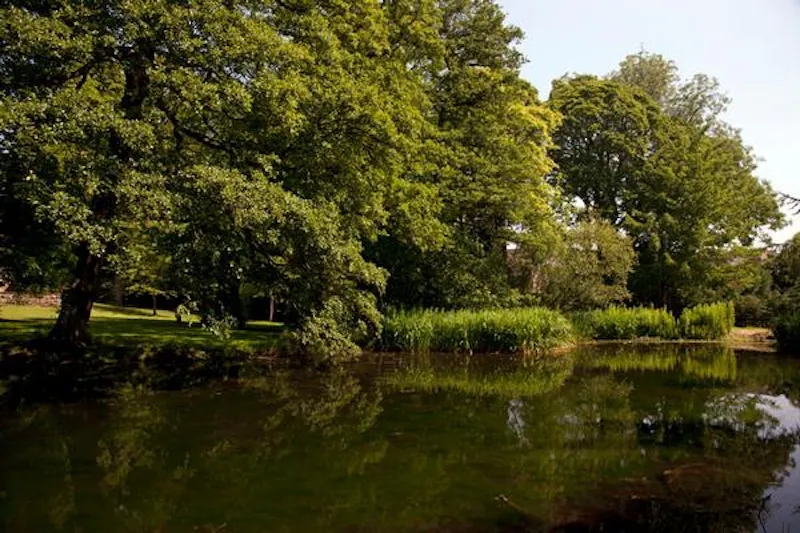 Lake at Elizabethan manor house in Leeds, G282 (photo 16)