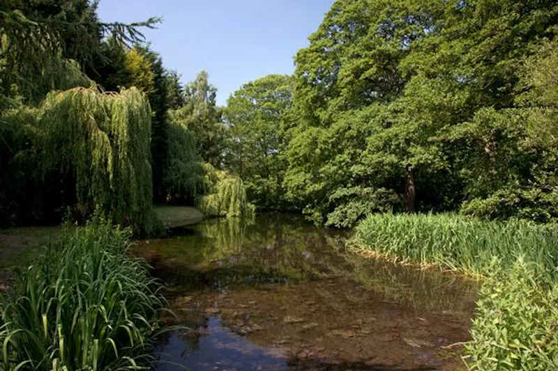 Elizabethan manor house in Leeds, G282 (photo 18)