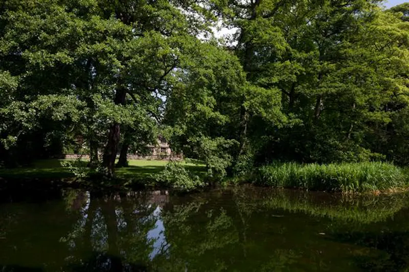 Elizabethan manor house in Leeds, G282 (photo 19)