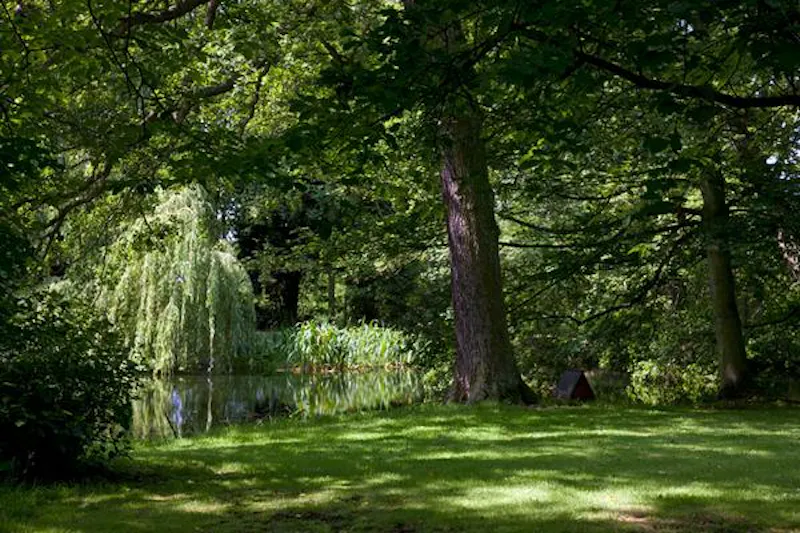 Elizabethan manor house in Leeds, G282 (photo 21)