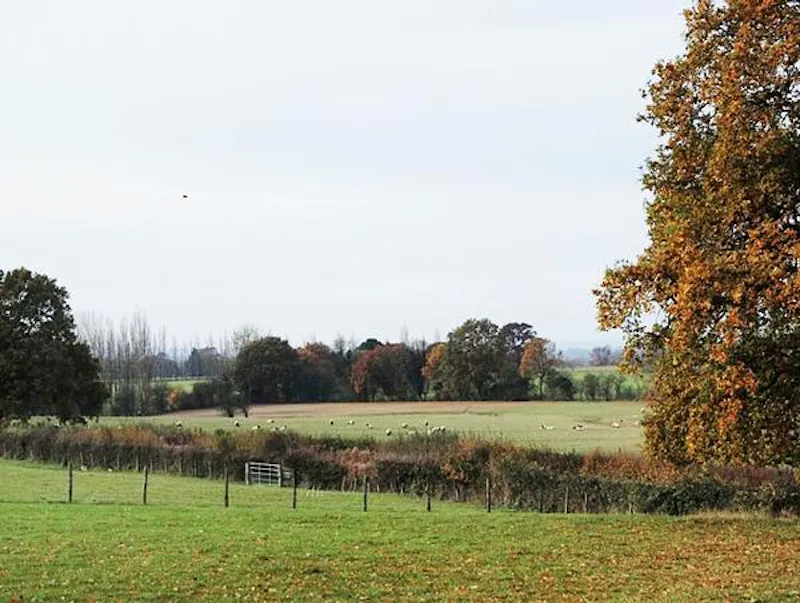 Views - country at Medieval Kentish country house, M285 (photo 82)