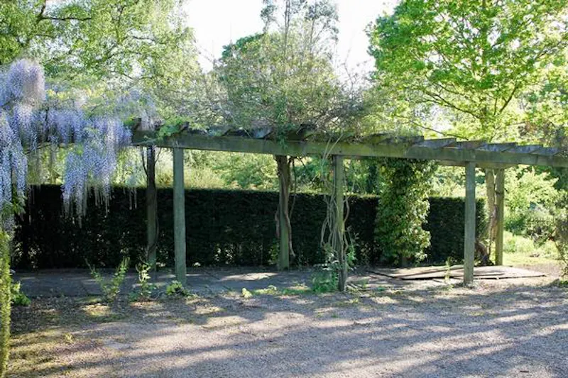 Medieval Kentish country house, M285 (photo 96)