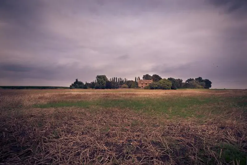 Countryside at Stylish dark Ely farmhouse, L653 (photo 36)