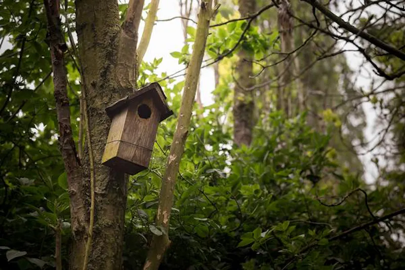 Woodland at Stylish dark Ely farmhouse, L653 (photo 45)
