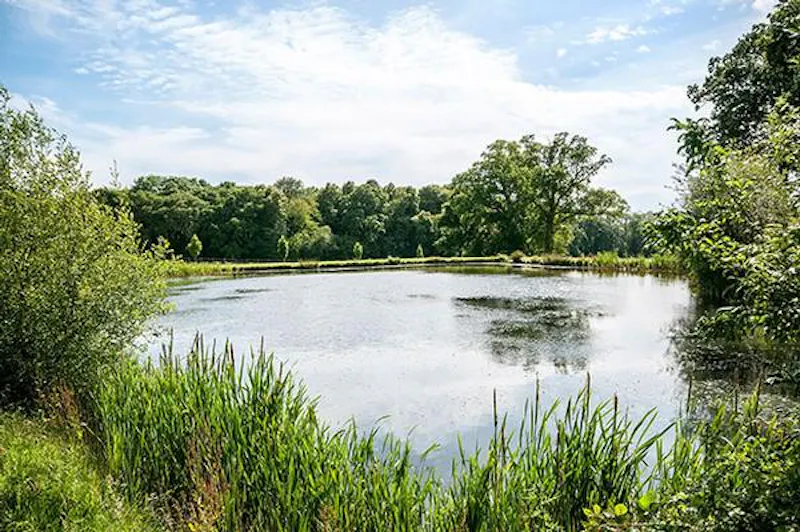 Beautiful Botley estate with lake, A1387 (photo 24)