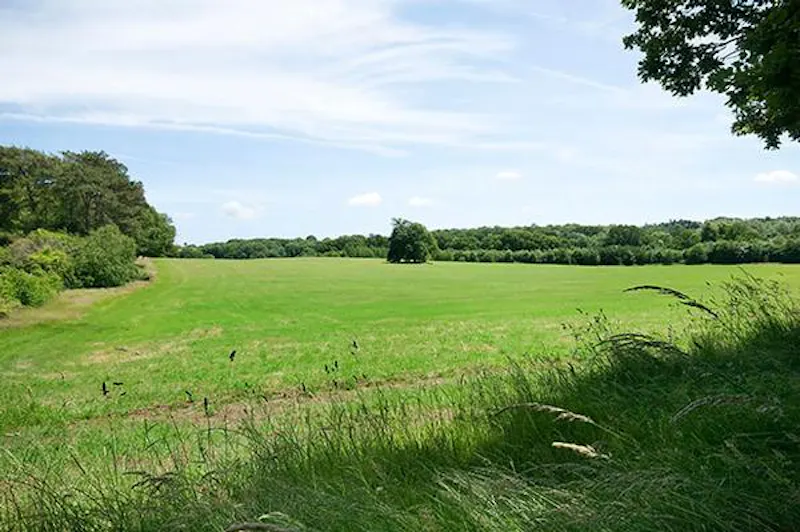 Beautiful Botley estate with lake, A1387 (photo 62)