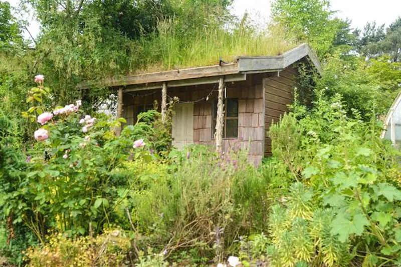 Shed at Faversham American Homestead, D2256 (photo 77)
