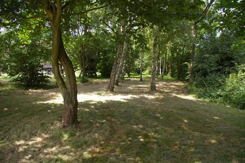Woodland at Faversham American Homestead, D2256 (photo 86)