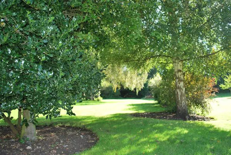 Garden at Bexley farmhouse, L662 (photo 23)