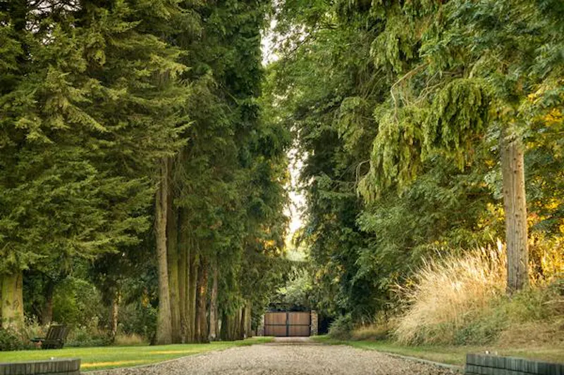 Driveway at Striking Hemel Hempstead house, D2270 (photo 28)
